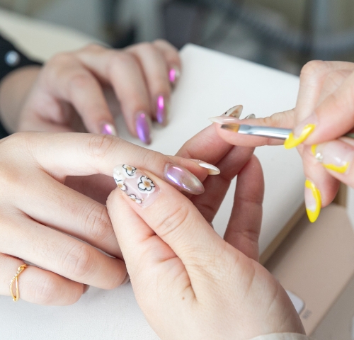 きれいを育てる